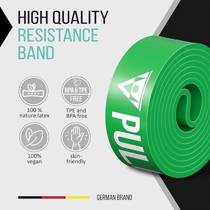 PULLUP & DIP Fitness Bands, Resistance Bands with Bag, Door Anchor (with Sets) and Exercise Guide