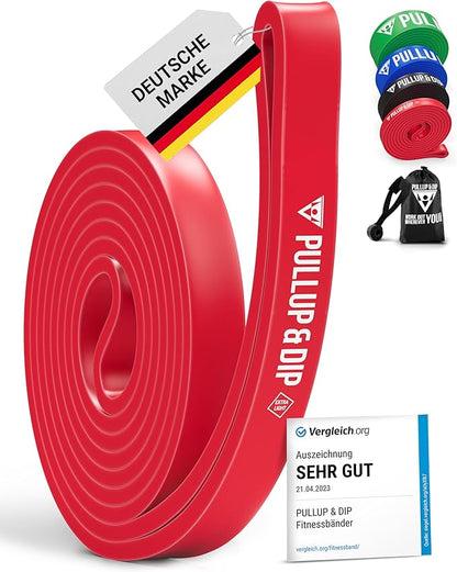 PULLUP & DIP Fitness Bands, Resistance Bands with Bag, Door Anchor (with Sets) and Exercise Guide