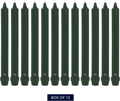 Colonial Candle Unscented Taper Candle, Classic Collection, Evergreen, 10 In, Pack of 12 - Up to 8