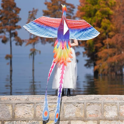 Mint’s Colorful Life Large Kite for Kids and Adults, Easy to Fly Single Line Beach Kites, Comes