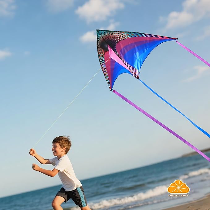 ORGCLDKT-Rainbow Cruiser Delta Kite, Kites for Kids Ages 8-12,4-8,Boys,Girls,Kites for