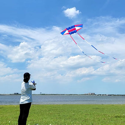 Beach Kites for Adults Large with Long Tail, 98 inches Super Easy Flyer 3D Rainbow Box Kites, Comes