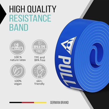 PULLUP & DIP Fitness Bands, Resistance Bands with Bag, Door Anchor (with Sets) and Exercise Guide