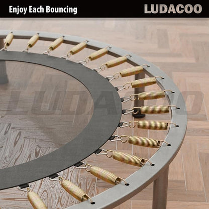 3.5"-8.5" Trampoline Springs, Heavy Duty Stainless Steel Trampoline Accessories with Swivel &