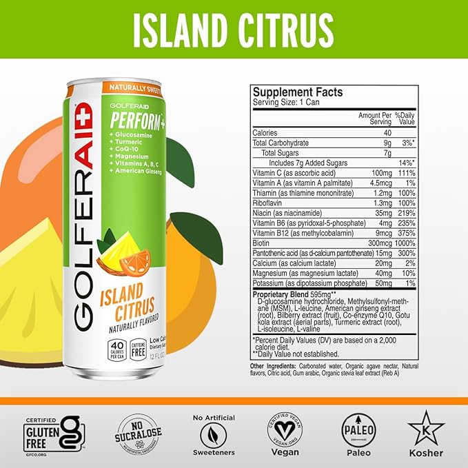 GOLFERAID Performance Blend, Up Your Golf Game, No Caffeine, Glucosamine, Turmeric, MSM, CoQ10