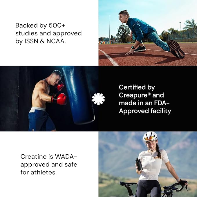 Create Single Serve Creatine Monohydrate Powder – 5g Creapure Creatine | Redefining Strength