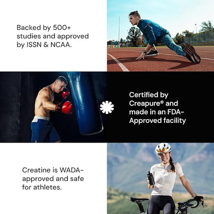 Create Single Serve Creatine Monohydrate Powder – 5g Creapure Creatine | Redefining Strength