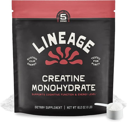 Micronized Creatine Monohydrate with Sea Salt - Micronized Creatine Powder for Training &