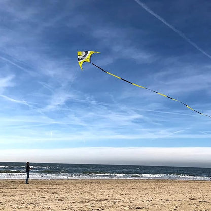 Delta Kite for Kids & Adults - Easy to Fly Large Single Line Beach Kite with 300ft String Handle