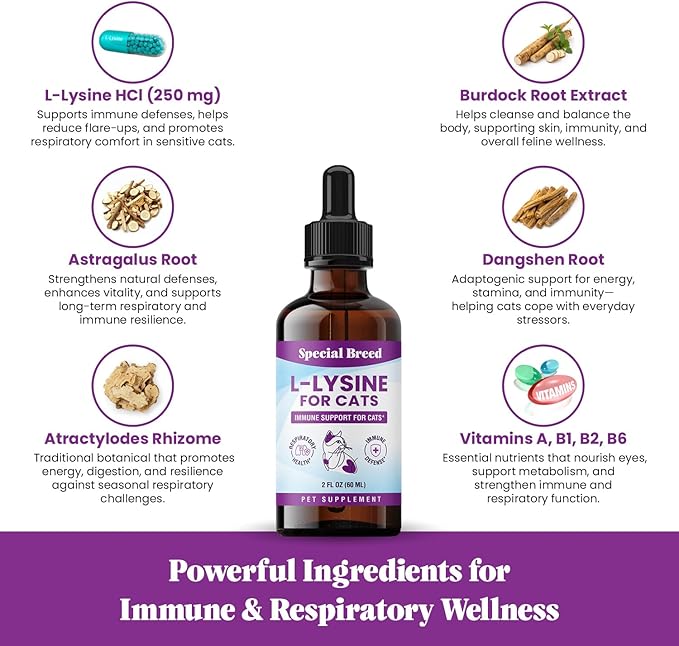 Special Breed L-Lysine for Cats & Kittens ??Immune, Respiratory & Eye Health Support ??Liquid Cat