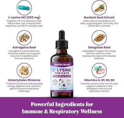 Special Breed L-Lysine for Cats & Kittens ??Immune, Respiratory & Eye Health Support ??Liquid Cat