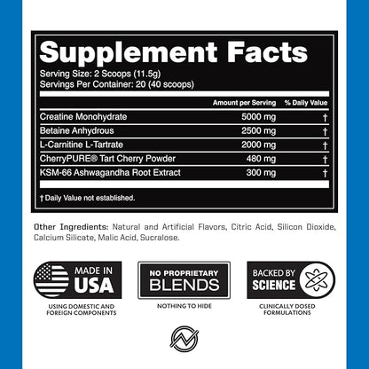 Outwork Nutrition Post Workout Recovery Powder - Creatine Monohydrate, KSM-66 Ashwagandha & Tart