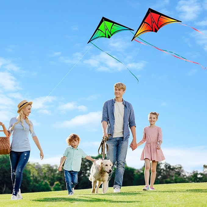 Large Delta Kite for Kids & Adults - Easy to Fly Outdoor Kites for Kids Ages 8-10, Perfect for