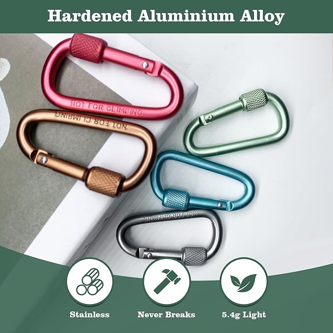 Carabiner, 2 inch D-Ring Locking Carabiner Clip, Snap Hook Sport Accessories for Outdoor Camping