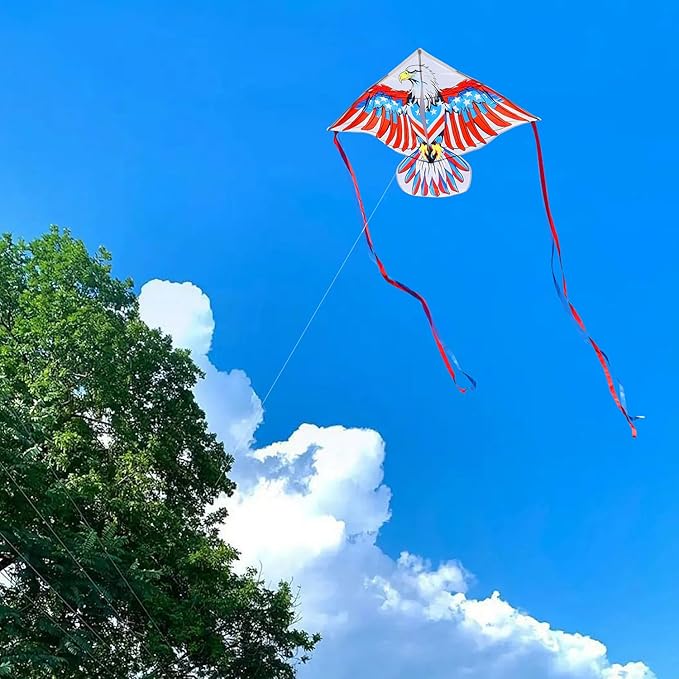 HONBO Eagle Kite, America Flag Kite for Kids and Adults. Wonderful Beginner Kite for Boys and