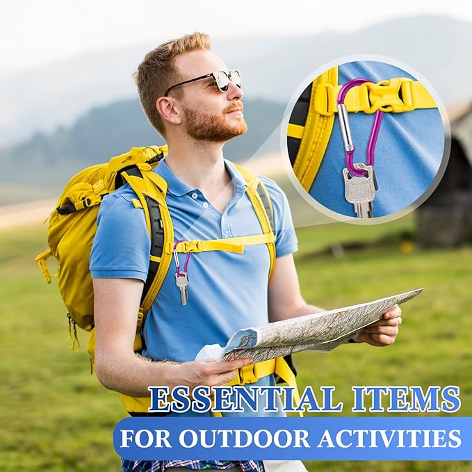 300 Pcs 2" Carabiner Bulk Spring Snap Hooks Bulk Aluminum Alloy Clip Keychain for Hanging Camping