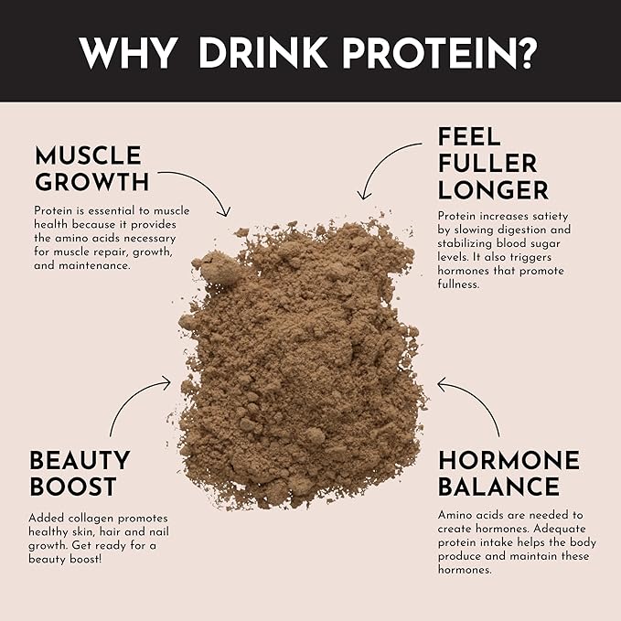 JUST INGREDIENTS Protein Powder | 15 Servings | 24g Protein | Chocolate Flavor Made with 100%