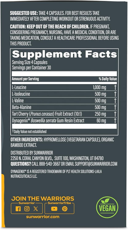 Amino Acids Supplement Recovery Capsules Stimulant-Free Post-Workout Muscle Recovery & Strength