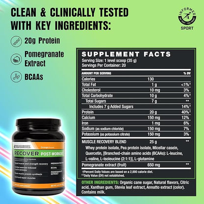 BODi Recover Whey Protein Powder Blend??Post-Workout Orange Whey Supplement for Muscle Recovery