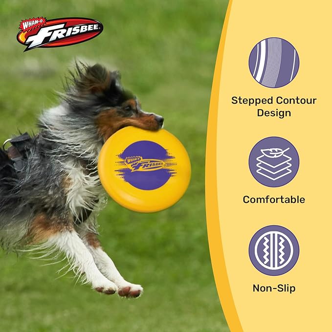 Wham-O Frisbee Cool Flyer Flying Disc, 9.95 Inch Sports Disc Lightweight Durable for Outdoor Beach