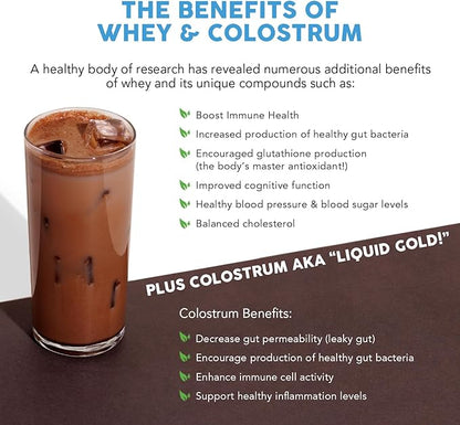 Paleovalley 100% Grassfed Whey Protein Powder with Colostrum, 13g Protein, Chocolate, Muscle