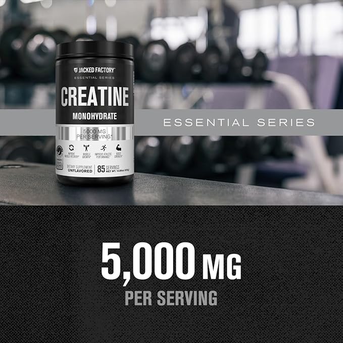 Jacked Factory Creatine Monohydrate Powder 425g - 5g Daily Creatine Supplement for Men and Women