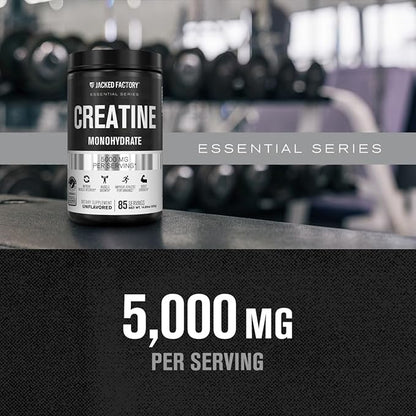 Jacked Factory Creatine Monohydrate Powder 425g - 5g Daily Creatine Supplement for Men and Women