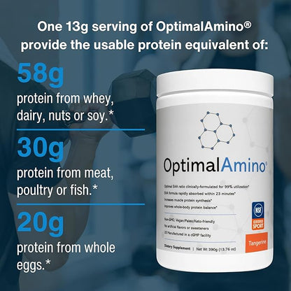 Amino Acid Powder | 99% Utilized Essential Amino Acid (EAA) Supplement | Pre/Post Workout & Muscle