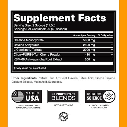 Outwork Nutrition Post Workout Recovery Powder - Creatine Monohydrate, KSM-66 Ashwagandha & Tart