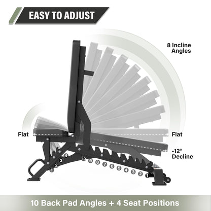 Major Fitness Weight Bench - 1300LBS Weight Capacity and 36 Adjustable Positions Strength Training