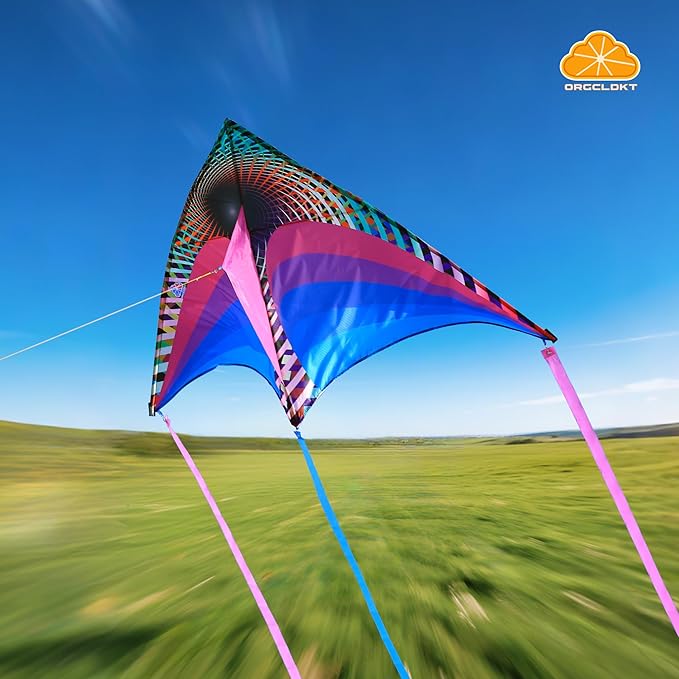 ORGCLDKT-Rainbow Cruiser Delta Kite, Kites for Kids Ages 8-12,4-8,Boys,Girls,Kites for