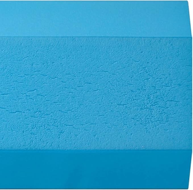 AIREX Balance Pad ??Stability Trainer for Balance, Stretching, Physical Therapy, Exercise