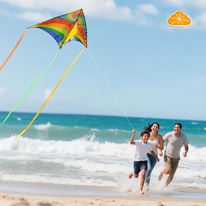 ORGCLDKT-Rainbow Cruiser Delta Kite, Kites for Kids Ages 8-12,4-8,Boys,Girls,Kites for