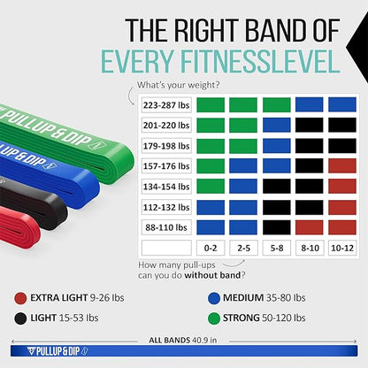 PULLUP & DIP Fitness Bands, Resistance Bands with Bag, Door Anchor (with Sets) and Exercise Guide