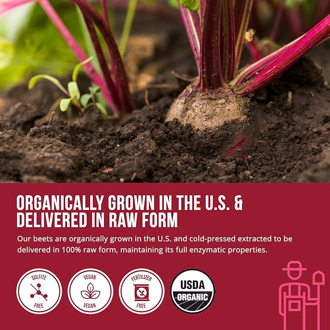 BioBeet® Beet Juice (Black Cherry Flavor) Max Strength 20x High Concentration than Beet Root Powder