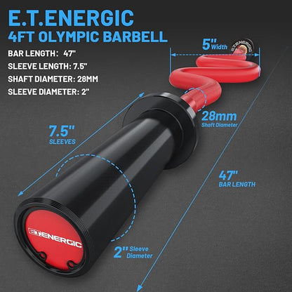 47" Olympic EZ Curl Bar 500-lbs Capacity Steel Barbell Suitable for 2" Weight Plates, 2-Inch Curl