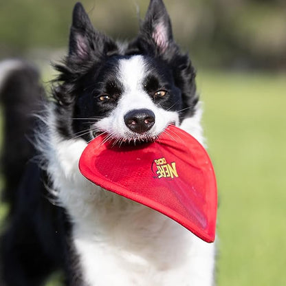 Nerf Dog Nylon Flyer Dog Toy, Flying Disc, Lightweight, Durable and Water Resistant, Great for