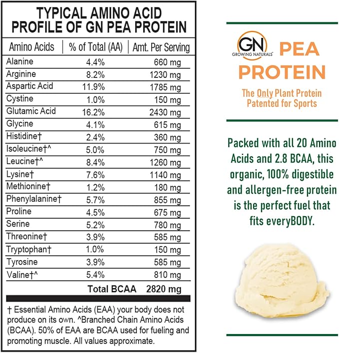 Raw Pea Protein Powder, Vegan Plant Based Protein, BCAA, Low-Carb, Low-Sugar, Vanilla Blast, 1
