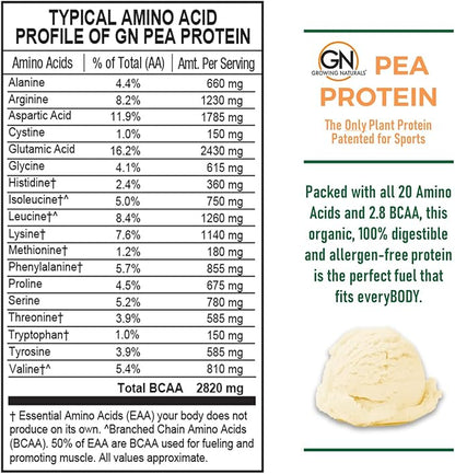 Raw Pea Protein Powder, Vegan Plant Based Protein, BCAA, Low-Carb, Low-Sugar, Vanilla Blast, 1