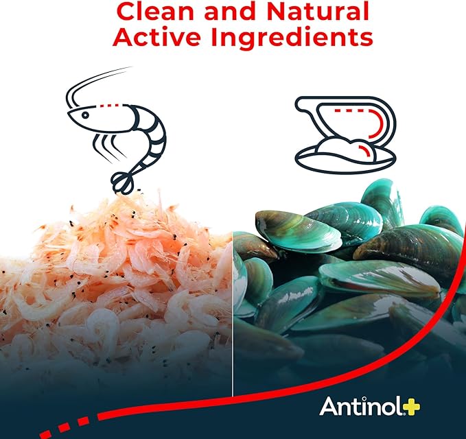 Plus, Mobility, Hip, and Joint Supplement for Dogs, Green-Lipped Mussels and Krill Oil - Dog Joint