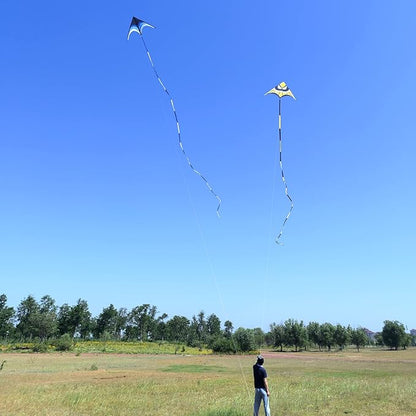 Delta Kite for Kids & Adults - Easy to Fly Large Single Line Beach Kite with 300ft String Handle