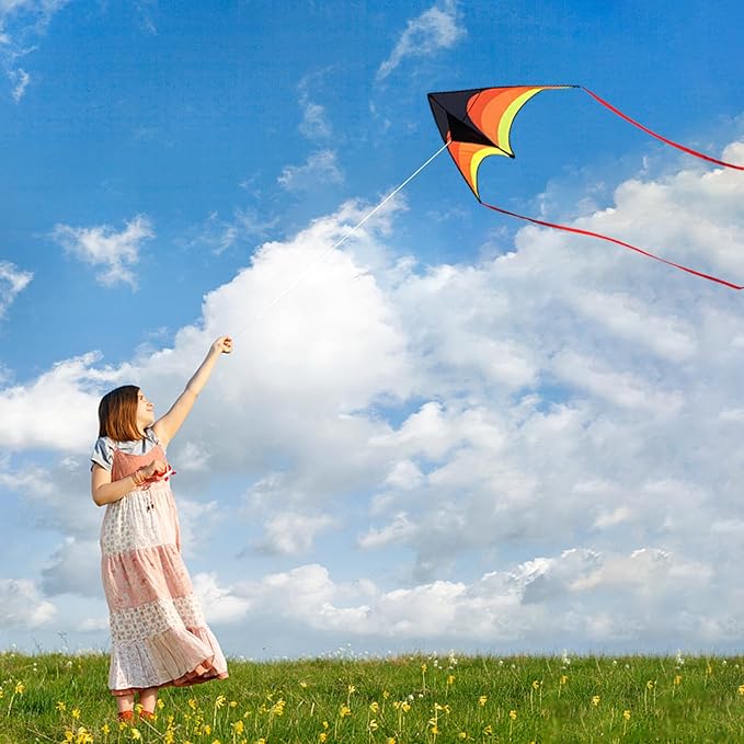 Mint's Colorful Life Delta Kite for Kids & Adults, Extremely Easy to Fly Kite, Best Kites for