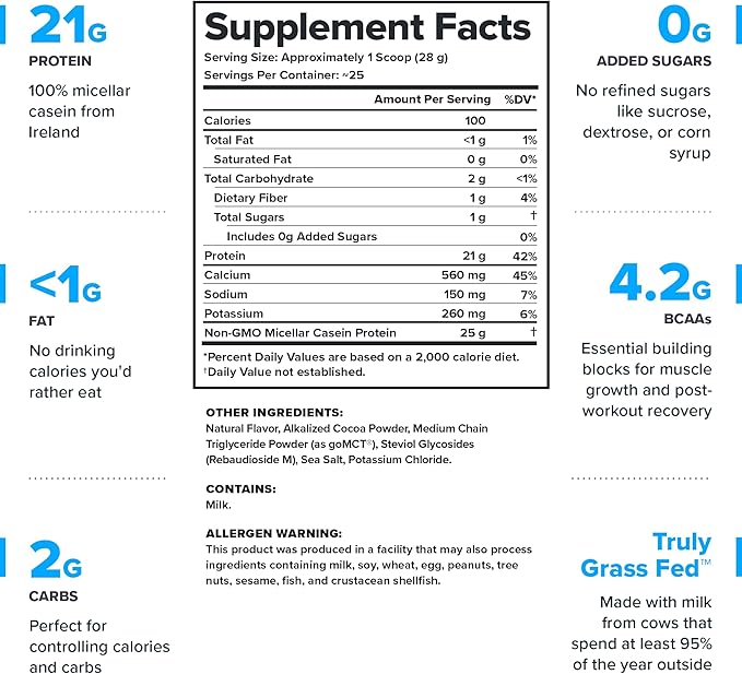 LEGION Casein Protein Powder (Dutch Chocolate) - Slow-Release Micellar Casein Protein Powder