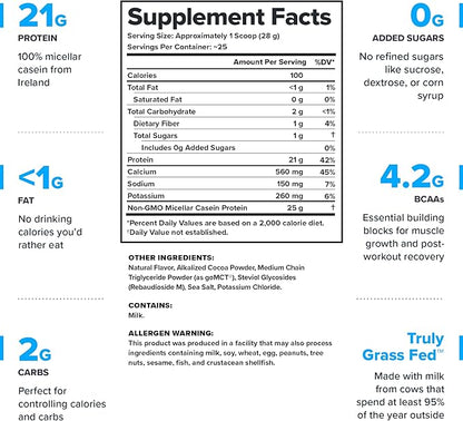 LEGION Casein Protein Powder (Dutch Chocolate) - Slow-Release Micellar Casein Protein Powder
