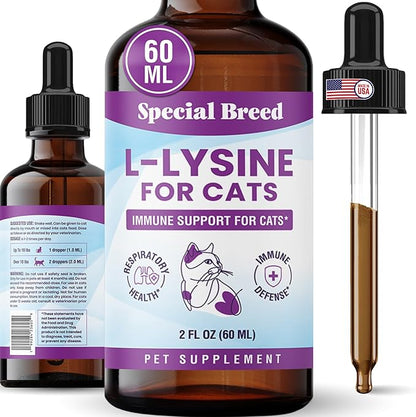 Special Breed L-Lysine for Cats & Kittens ??Immune, Respiratory & Eye Health Support ??Liquid Cat