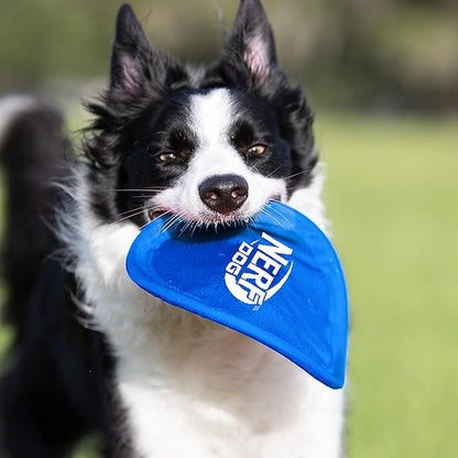 Nerf Dog Nylon Flyer Dog Toy, Flying Disc, Lightweight, Durable and Water Resistant, Great for