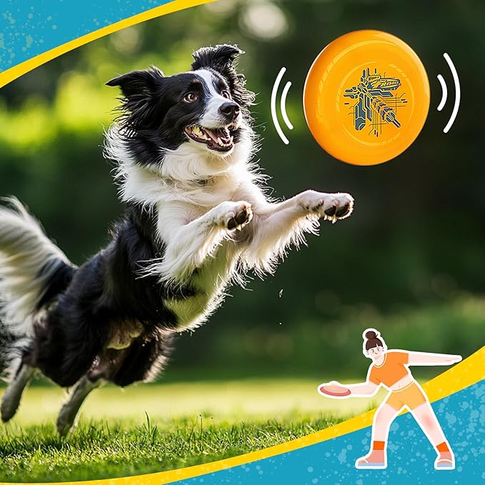 Wham-O Frisbee Go Flying Disc, 9 Inch Lightweight Sports Disc for Beginners Outdoor Beach Backyard