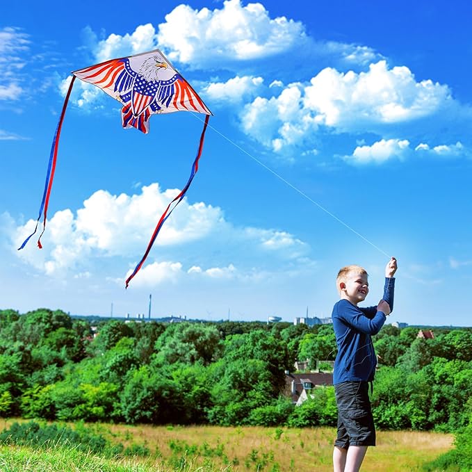 Xida Kites for Kids Ages 4-8, Large Kite for Adults, Easy to Fly Beach Kites with Handle and