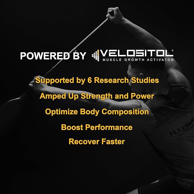 Vegan Sport Protein Powder Vanilla ??30g Plant Based Protein, VELOSITOL, BCAAs, Organic Greens &