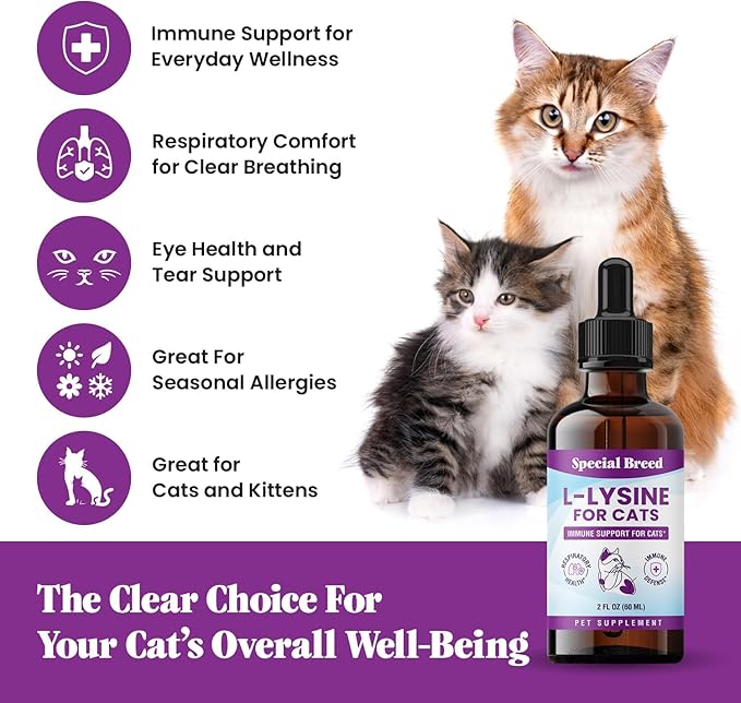 Special Breed L-Lysine for Cats & Kittens ??Immune, Respiratory & Eye Health Support ??Liquid Cat